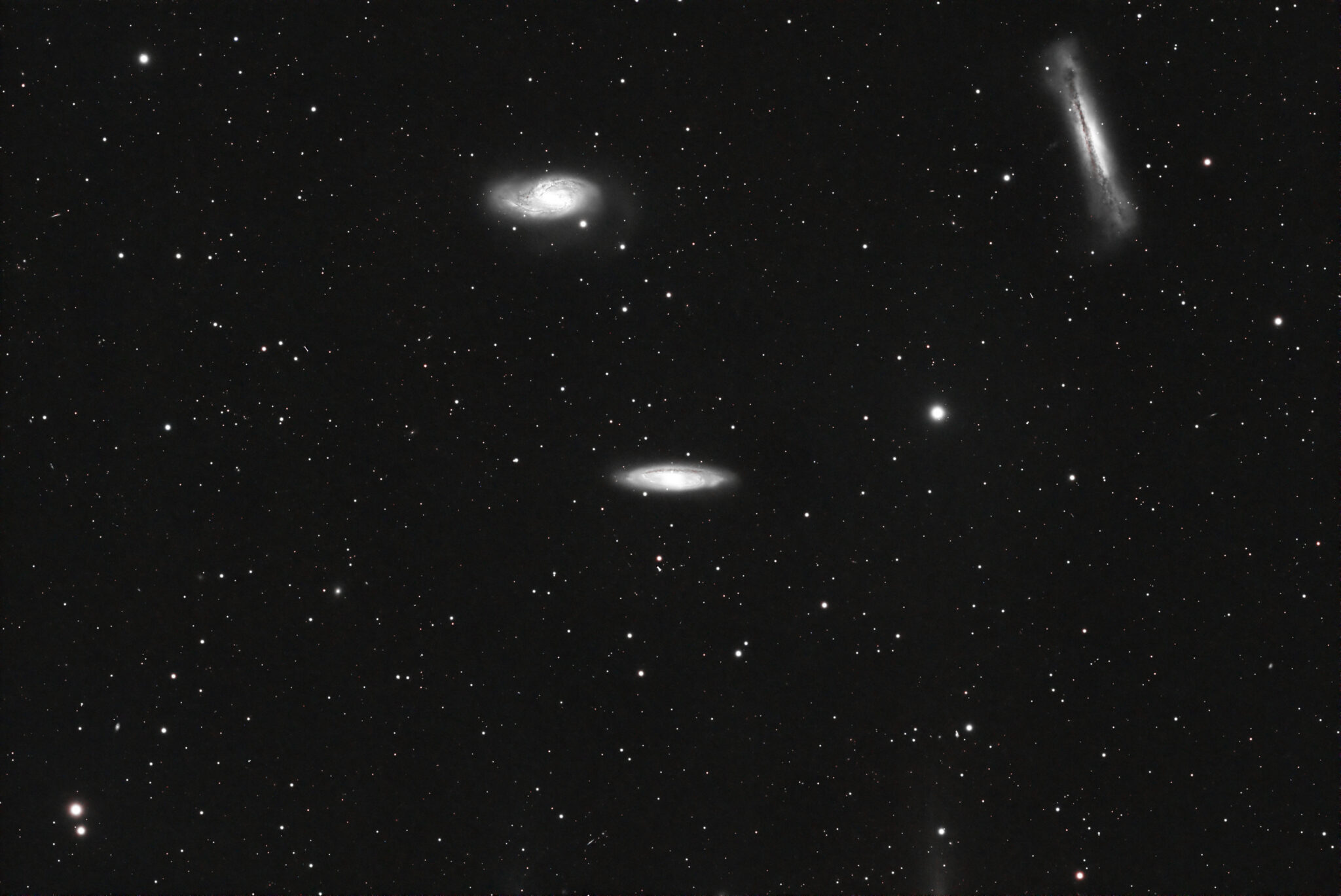 The Leo Triplet