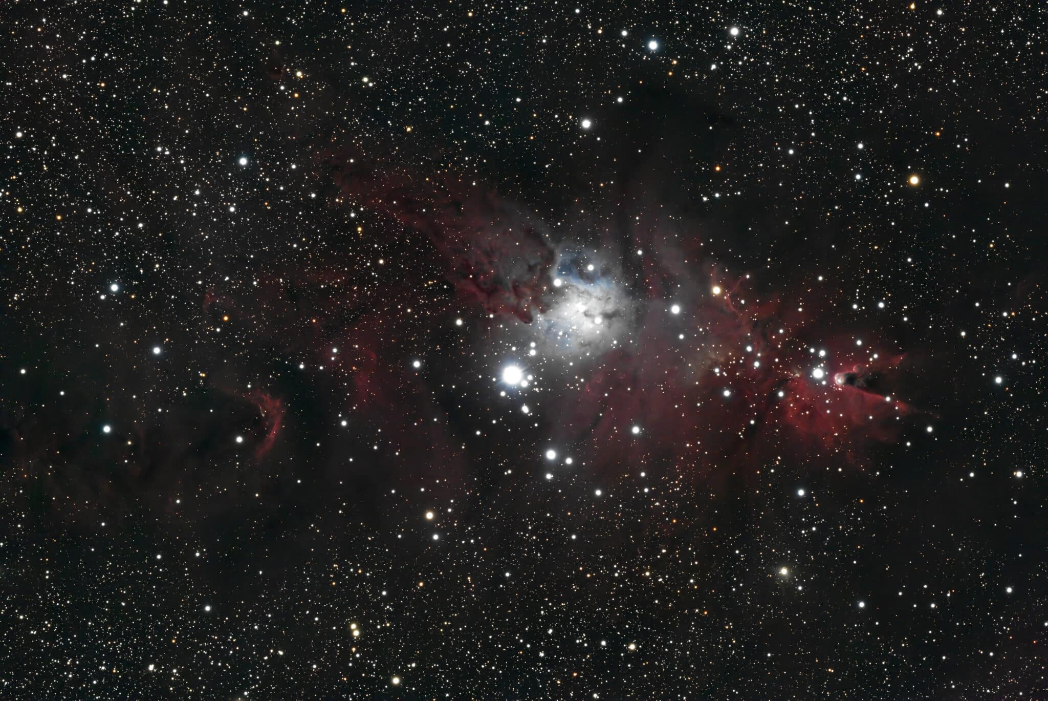 Christmas Tree Nebula